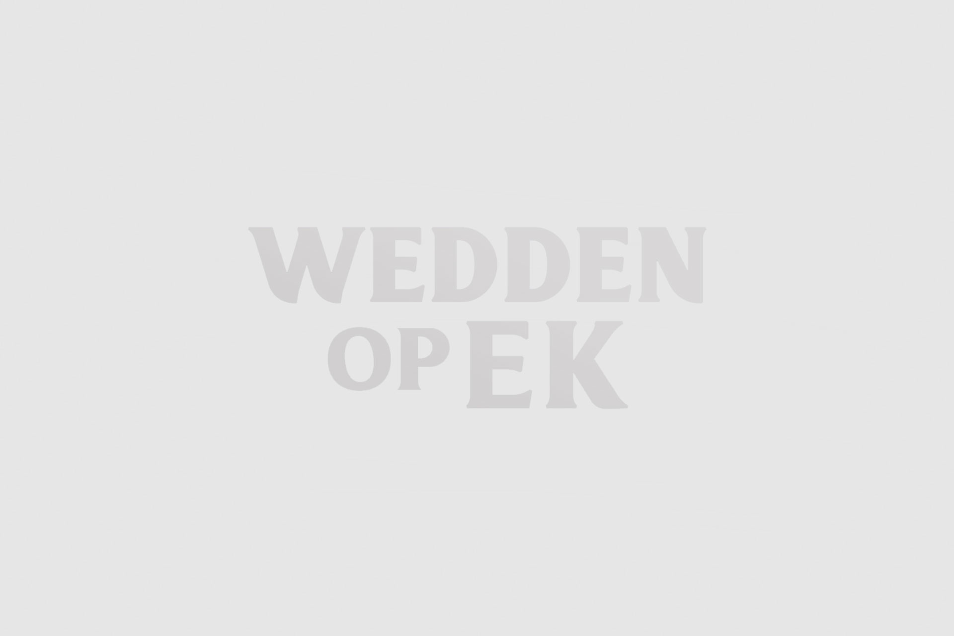 WeddenopEK.nl is de site voor Wedden op het EK 2024